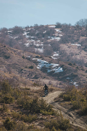 Benelli Leoncino 500 Trail